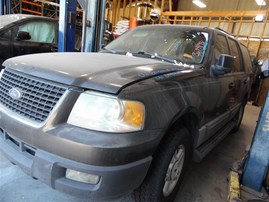 2006 Ford Expedition XLT Gray 5.4L AT 2WD #F23387